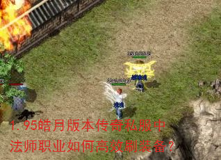 1.95°汾˽зʦְҵθЧˢװ