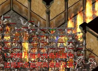 1.95°汾˽зʦְҵθЧˢװ