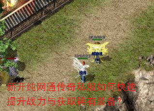 新开纯网通传奇私服如何快速提升战力与获取稀有装备? 新开纯网通传奇私服如何快速提升战力与获取稀有装备?