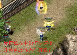 传奇私服中如何快速提升角色战斗力与等级? 传奇私服中如何快速提升角色战斗力与等级?