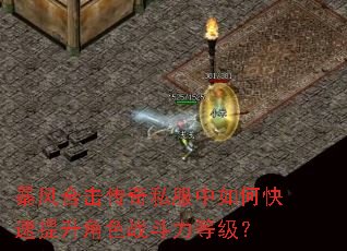 ����ϻ�����˽������ο���������ɫս�����ȼ���