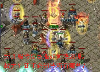 �¿�������˽����ο�������ս�������ֱ�֪��������Щ��