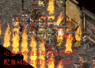 ���⴫����������������������������Ų����Ż���