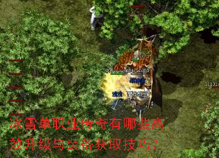 ��ѩ��ְҵ��������Щ��Ч������װ����ȡ���ɣ�