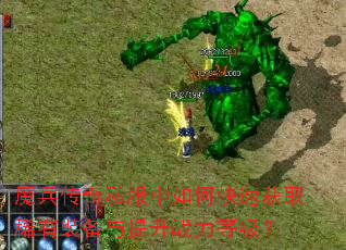 ħ������˽������ο��ٻ�ȡϡ��װ��������ս���ȼ���