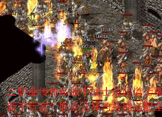 ��ְҵ����˽����սʿ��ʦ��ʿ�ĸ����ʺ�������ң�ְҵѡ���뼼�ܴ���ȫ������