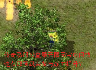 ����˽�����������Ԫ����ο��ٻ�ȡ����װ����ս��������