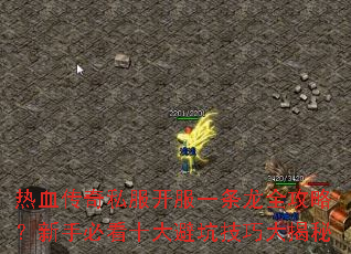 ��Ѫ����˽������һ����ȫ���ԣ����ֱؿ�ʮ��ܿӼ��ɴ����