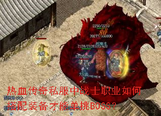 ��Ѫ����˽����սʿְҵ��δ���װ�����ܵ���BOSS��