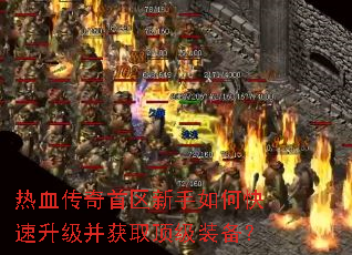 ��Ѫ��������������ο�����������ȡ����װ����