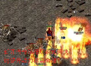 �¿�����˽�������ο�������ս���ư�ȫ����