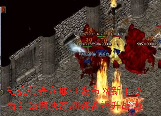 ��䴫��˽��sf���������ֱؿ�����ο���ˢװ������ս��