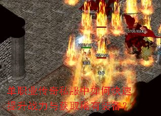 ��ְҵ����˽������ο�������ս�����ȡϡ��װ����