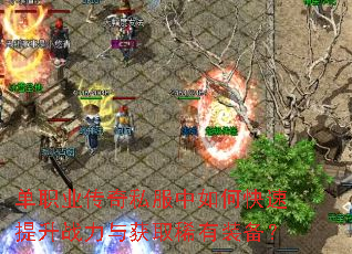 ��ְҵ����˽������ο�������ս�����ȡϡ��װ����