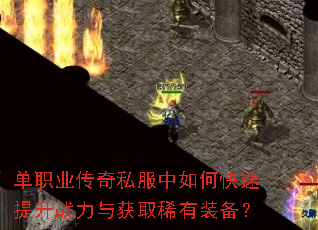 ��ְҵ����˽������ο�������ս�����ȡϡ��װ����