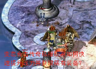 ��̬�ϻ�����˽�������ο�������ս������ȡϡ��װ����