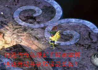 逍遥传奇私服新手玩家如何快速升级并获取极品装备? 逍遥传奇私服新手玩家如何快速升级并获取极品装备?