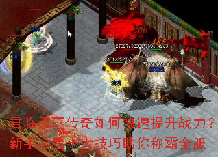 �������´�����ο�������ս�������ֱؿ�ʮ��������ư�ȫ��