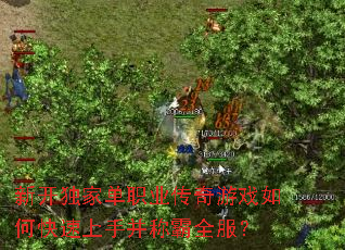 新开独家单职业传奇游戏如何快速上手并称霸全服? 新开独家单职业传奇游戏如何快速上手并称霸全服?