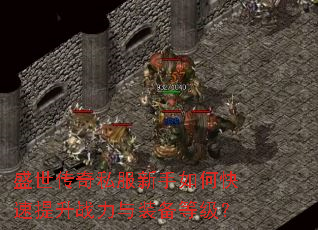 ʢ������˽��������ο�������ս����װ���ȼ���