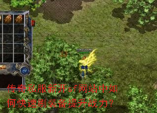 ����˽���¿�sf��վ����ο���ˢװ������ս����