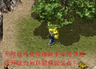 无赦版传奇私服新手如何快速提升战力与获取高级装备? 无赦版传奇私服新手如何快速提升战力与获取高级装备?