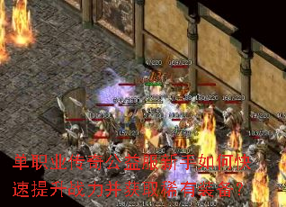 单职业传奇公益服新手如何快速提升战力并获取稀有装备? 单职业传奇公益服新手如何快速提升战力并获取稀有装备?