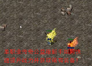 单职业传奇公益服新手如何快速提升战力并获取稀有装备? 单职业传奇公益服新手如何快速提升战力并获取稀有装备?