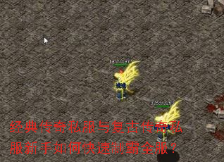 ���䴫��˽���븴�Ŵ���˽��������ο����ư�ȫ����