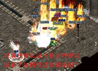 ���䴫��˽���븴�Ŵ���˽��������ο����ư�ȫ����