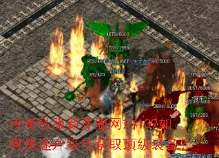 ����˽���¿�����վ139��ο����������ȡ����װ����