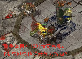 ���������1001����˽��sf��������������ս���ȼ���