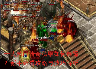 ʮ�����Ŵ���˽�����ѡ�����ֱؿ������뼼�ɽ���