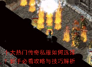 ʮ�����Ŵ���˽�����ѡ�����ֱؿ������뼼�ɽ���