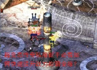 ����̬����˽�����ֱؿ���ο�������ս���ư�ȫ����