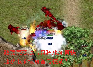 �����̬�洫��˽����ο��ٻ�ȡ����װ���뼼�ܣ�