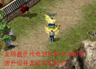 ����ʢ��������Ϸ������ο��������������ռ�BOSS��