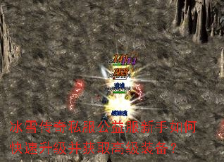 ��ѩ����˽�������������ο�����������ȡ�߼�װ����