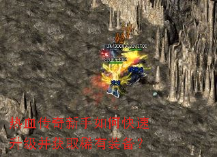 ��Ѫ����������ο�����������ȡϡ��װ����