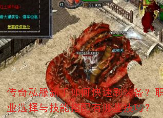 ����˽��������ο���ˢװ����ְҵѡ���뼼�ܴ�������Щ���ɣ�