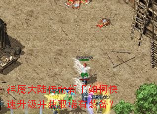 ��ħ��½����������ο�����������ȡϡ��װ����