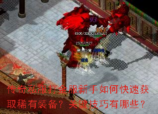 ����˽������������ο��ٻ�ȡϡ��װ�����ؼ���������Щ��