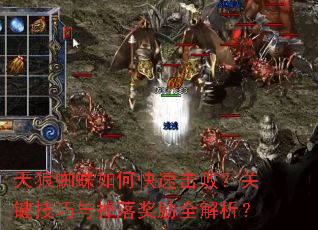 ����֩����ο��ٻ��ܣ��ؼ���������佱��ȫ������