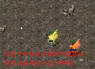 ��ͨ����˽������ο��ٻ�ȡϡ��װ��������ս���ȼ���