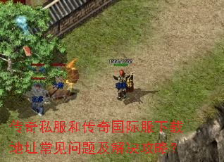 ����˽���ʹ�����ʷ����ص�ַ�������⼰������ԣ�