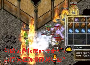 ��վ���Ȩ��gm����������ο��ٽ������ص�ͼ��