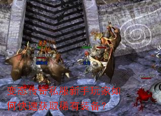 变态传奇私服新手玩家如何快速获取稀有装备? 变态传奇私服新手玩家如何快速获取稀有装备?