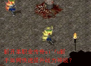 �¿���ְҵ����si'fu������ο�������ս���ȼ���