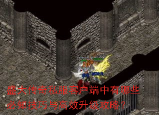 ʢ����˽���ͻ���������Щ��֪�������Ч�������ԣ�