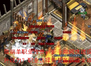 ΢�˵�ְҵ����sf������ο�������ս����ְҵѡ����װ����ȡȫ����